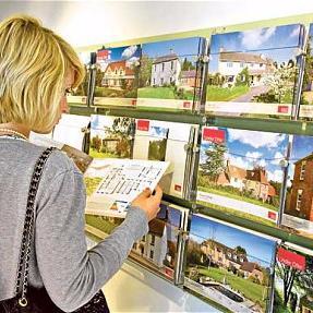 RightviewEstate's profile picture. 