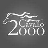 Cavallo2000 è prima di tutto un’agenzia di stampa e, come tale, fornisce quotidianamente le notizie principali legate al mondo del cavallo.