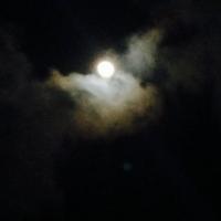 うっし (@syaru171) Twitter profile photo