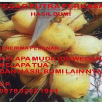Tegar Putra Perkasa (@tegarputraperk1) 's Twitter Profile
