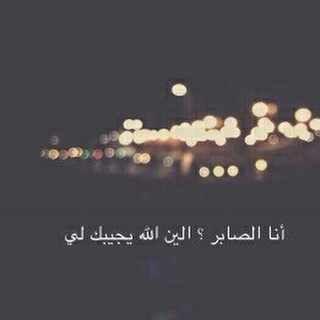 ‏‏‏‏‏‏‏‏-عنزيسبيعي
