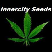 Inner City Seeds