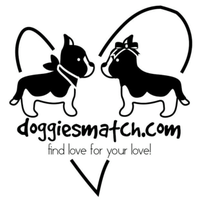 doggiesmatch(@doggiesmatch) 's Twitter Profile Photo