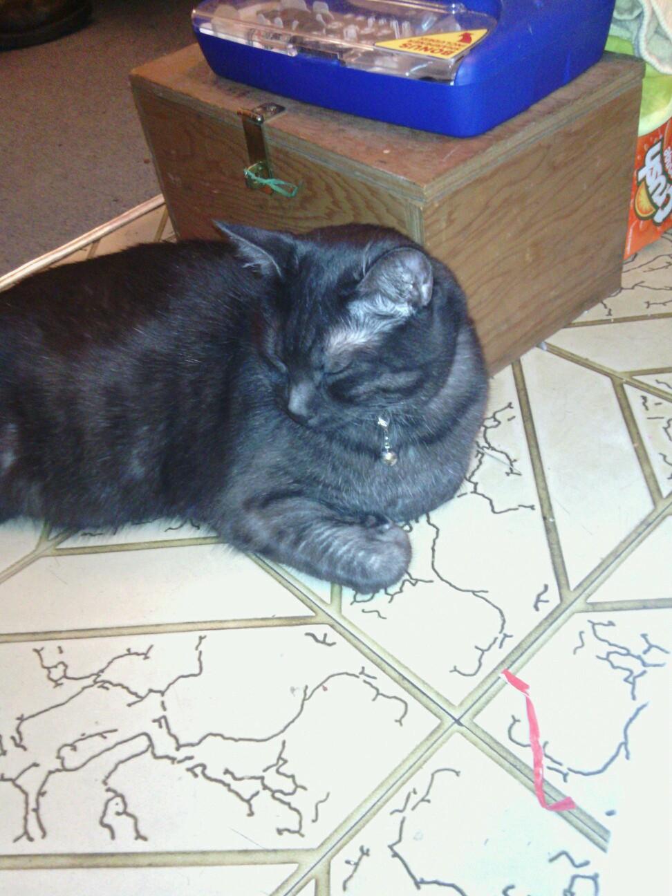 katybee92's profile picture. 