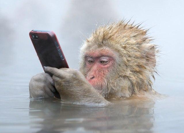 iliacos4's profile picture. 