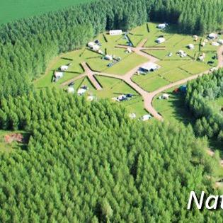 Ons bedrijf bestaat onder meer uit een boerenboscamping, een mini-camping, een forellenvisvijver, een bos- en tuinterras en een smalspoorbaan.