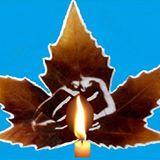 civildefence121's profile picture. 
