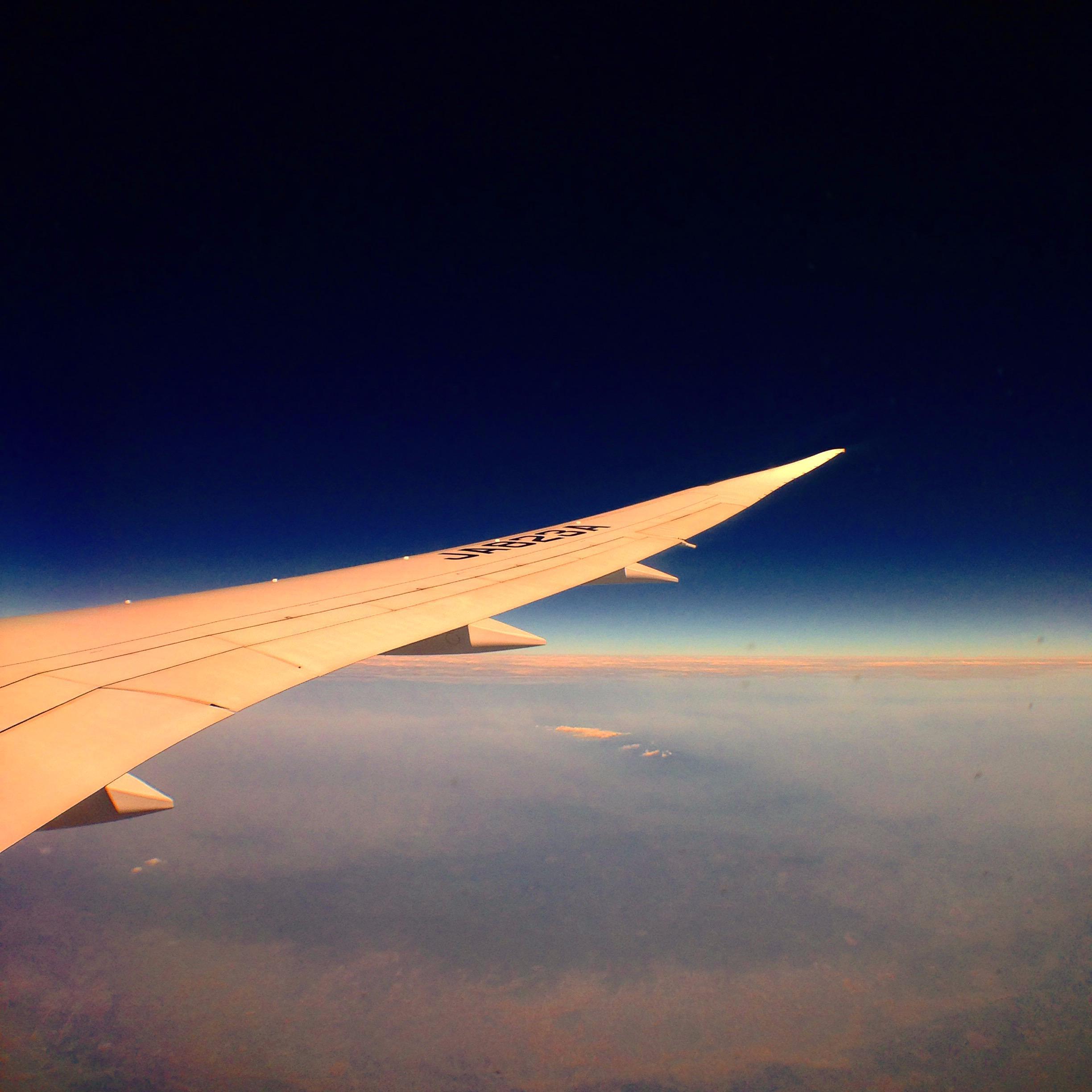 tamhinsf's profile picture. Window Seat.