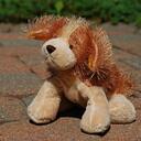 Sarah DeLeon - @iluvmakup - Twitter