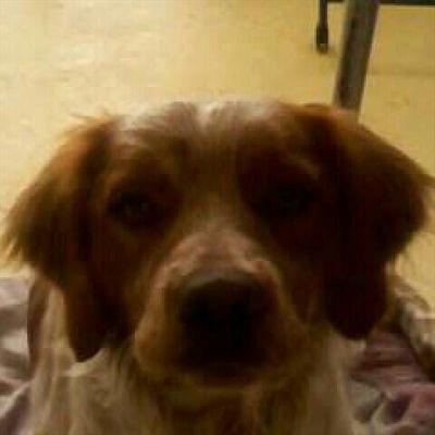 cocobrun23's profile picture. 