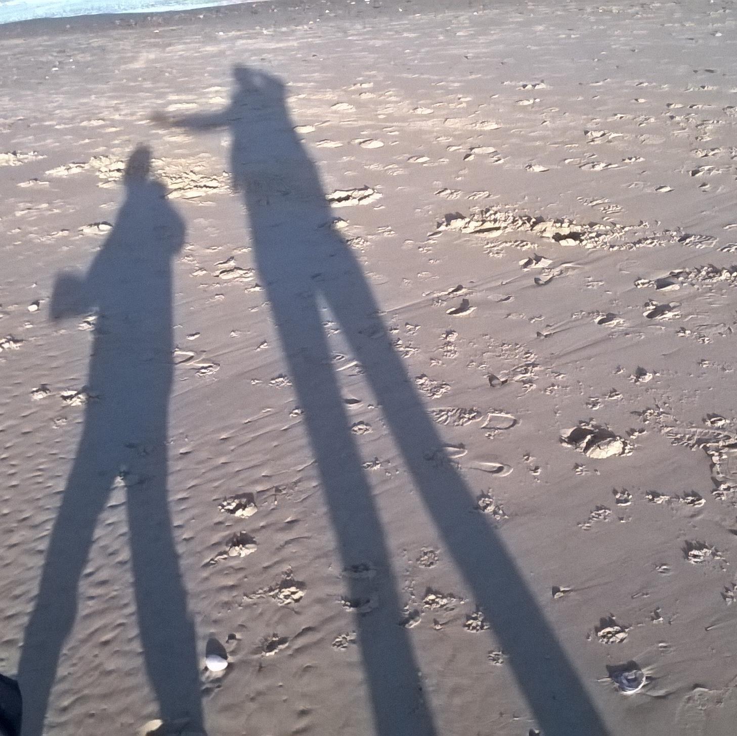 BayBrittas's profile picture. Information on what's going on in Brittas Bay, Co Wicklow. #BrittasBay