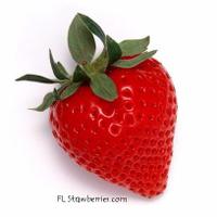 FL Strawberries(@FLStrawberries) 's Twitter Profile Photo