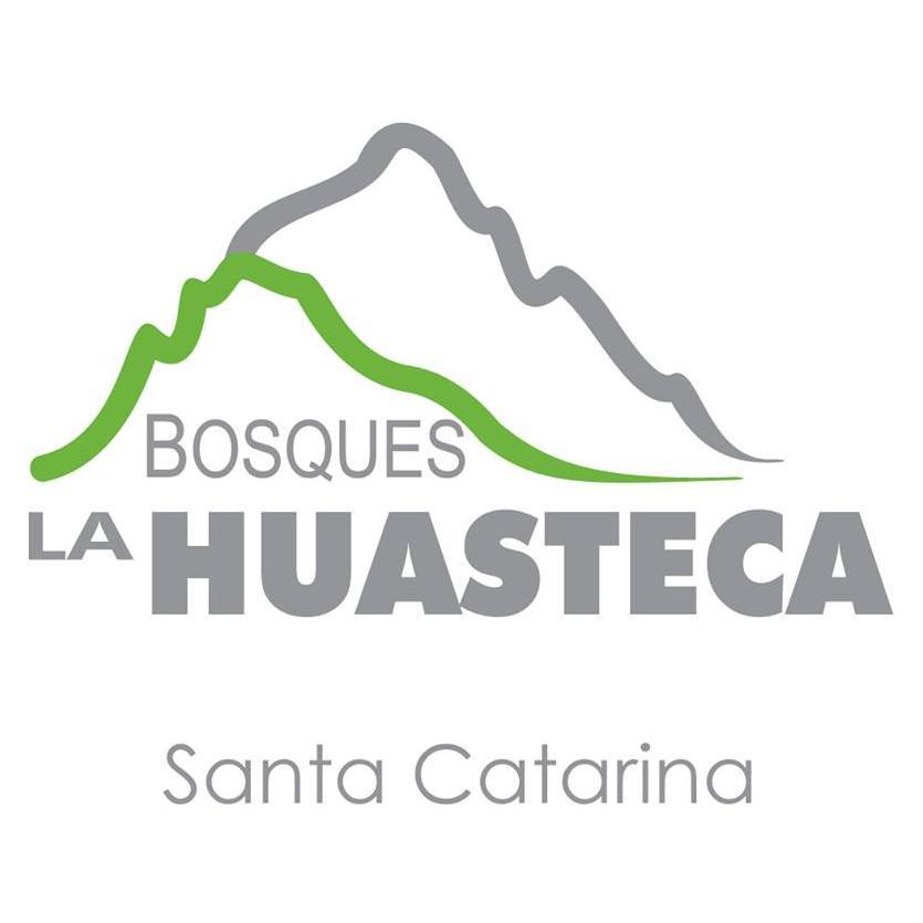 Buscamos la salvación de Bosques la Huasteca de abandono en que nos dejó Casas Geo.