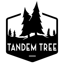 TandemTree's profile picture. We are Kate &amp; Karl. Minneapolis-based wedding photographers.