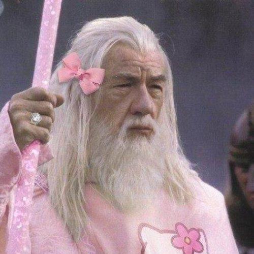 paulavid12's profile picture. I'm Avid Paul, 21 year old, hello everybody.