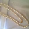 mutiara yang di jamin keaslianya, ayo guys di order jangan sampai kehabisan;-) -
cp:082113617707. JL.paseban raya no 37 A