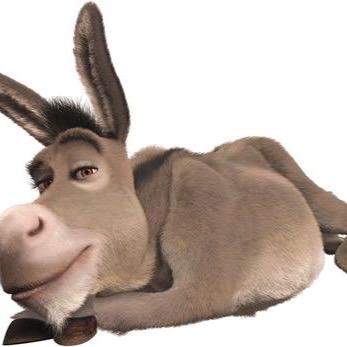 mikeymouse107's profile picture. 