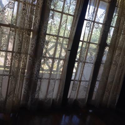 vaandaengel1's profile picture. done & dusted