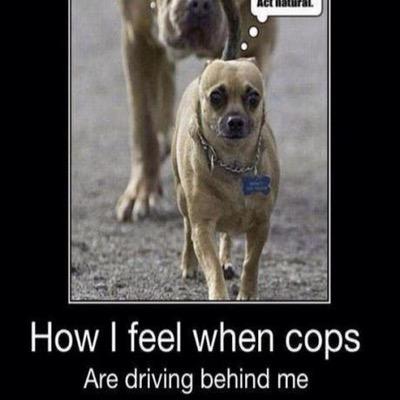 YourMomBBQ's profile picture. rawr lol