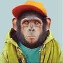 David Fullarton (@HughJanus) Twitter