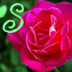 sewfun1's profile picture. 