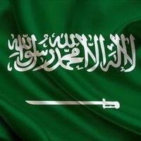 محمد حسن#عاصفة الحزم (@medooo3013) 's Twitter Profile