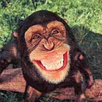 alexhennecke's profile picture. 