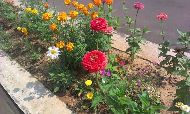 mdfirdous786's profile picture. 