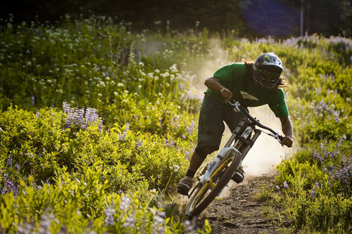 Photo.Bike.Surf.Ski.Sled.Snowboard.Scotch