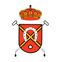 RFEdepolo's profile picture. Cuenta Oficial de la Real Federación Española de Polo. Actuales campeones de Europa