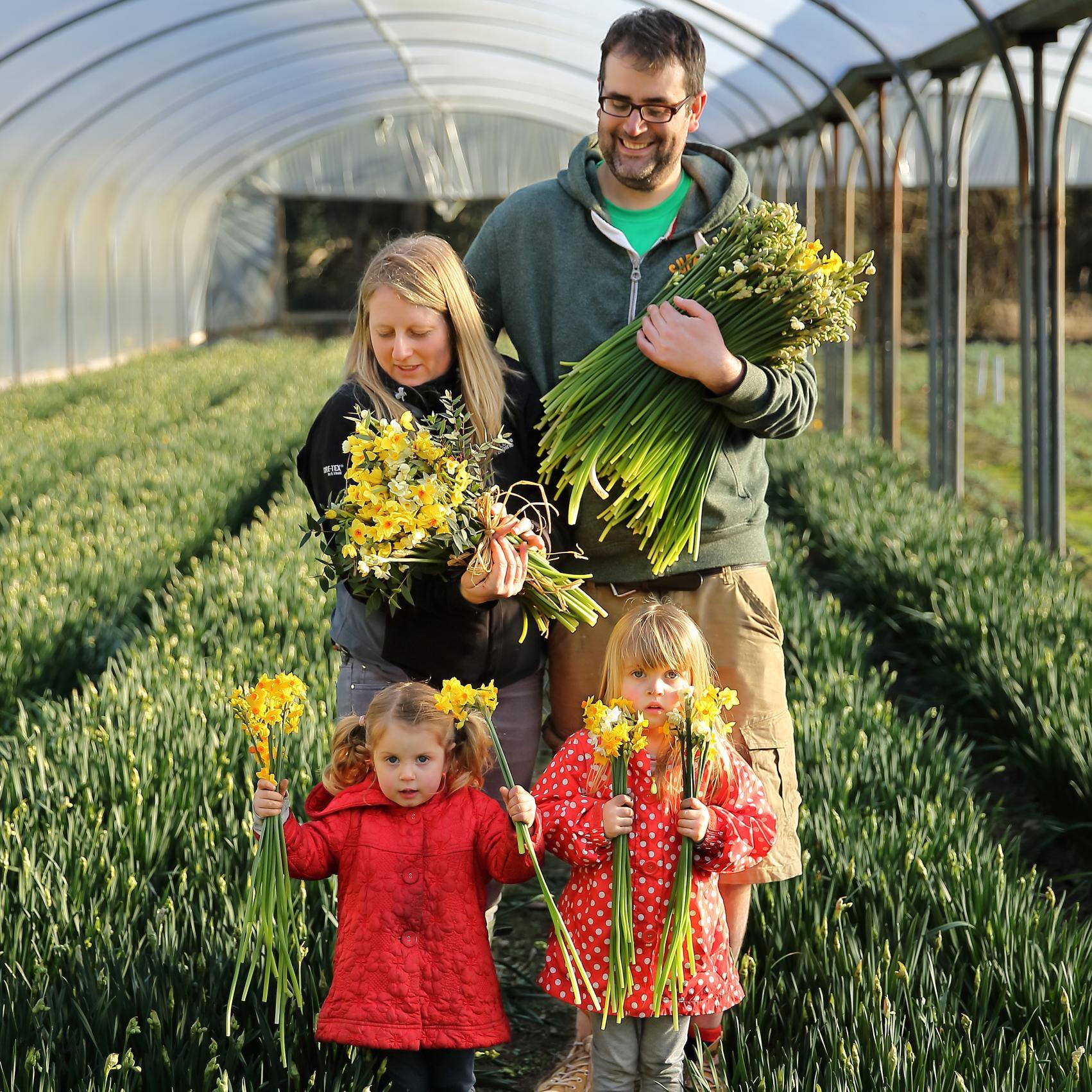 Cornish Blooms is a family business based in South-West Cornwall. We send flowers grown on our farm by 1st class post across the UK