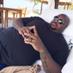 Vince Wilfork (@wilfork75) Twitter profile photo Vince Wilfork (@wilfork75) Twitter profile photo