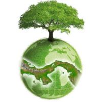 La Chorrera Verde (@lachorreraverde) 's Twitter Profile