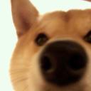 Gooooooo (@57gogo1022) Twitter