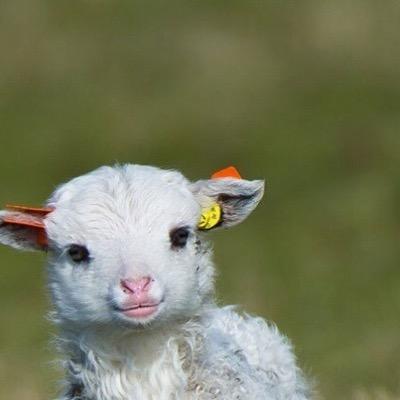 MissAlyssa1's profile picture. 20. Colorado State.