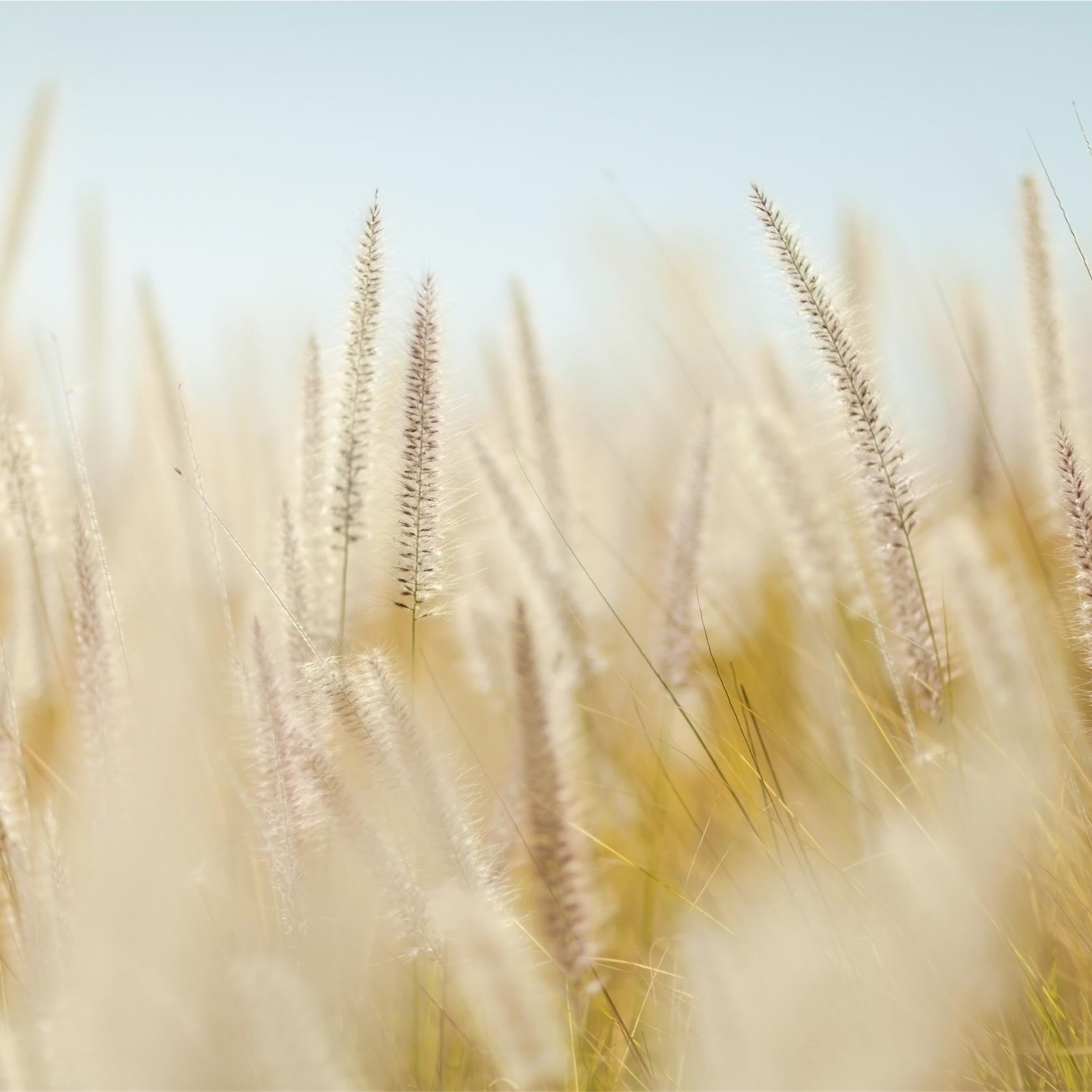 T2ConsUK's profile picture. 