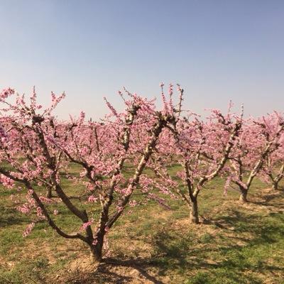 blancacanonge's profile picture. 