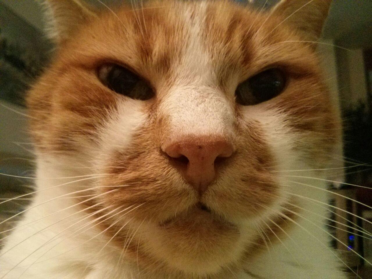 granada_grandad's profile picture. 