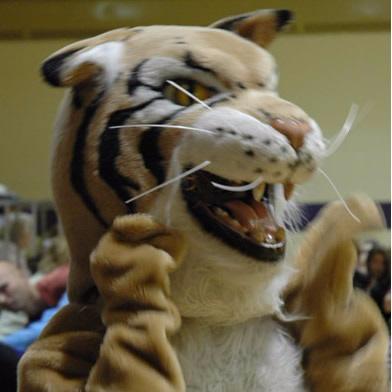 mcs_wildcats's profile picture. 