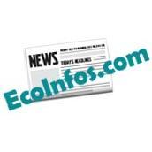 InfosEconomie's profile picture. https://t.co/seGjLpQvg7 - Toutes les Infos sur l'économie et la finance - Sans Perdre le temps dans la recherche