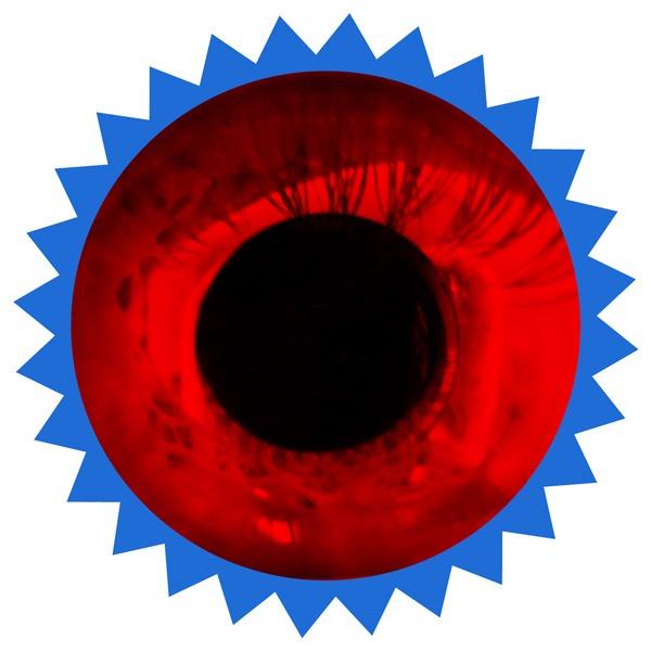 tmslnz's profile picture. Biodegradable.