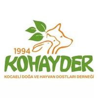 Kohayder41 (@kohayder) 's Twitter Profile