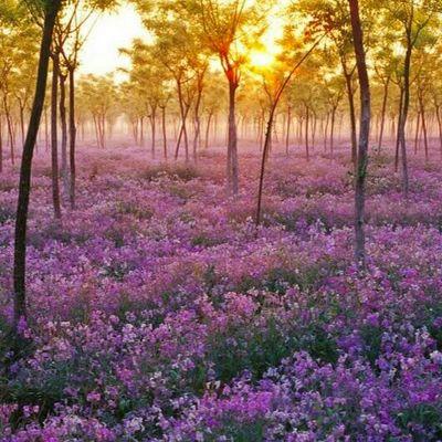 webweb0718's profile picture. 