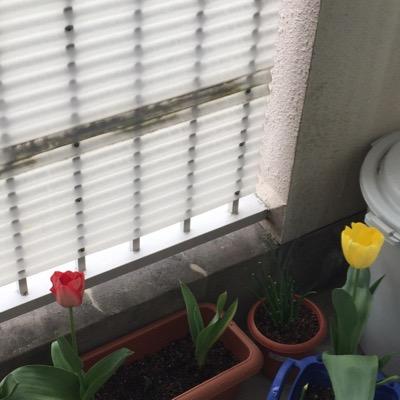 QDzZKNsjtMvpp3B's profile picture. 