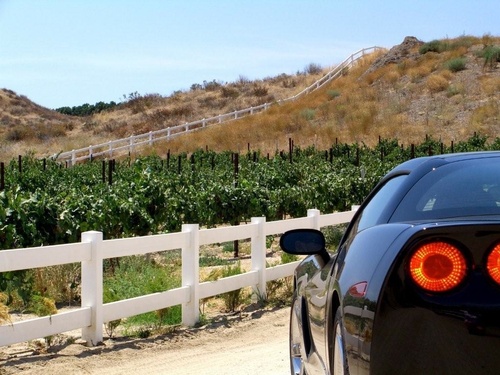 Opal1016's profile picture. CT 2 Cali Transplant. Consumed by: Kayaking, Marketing, Photography, Country Music & Flip-flop Collecting, Consumer of: Food, Wine & Fresh Air!