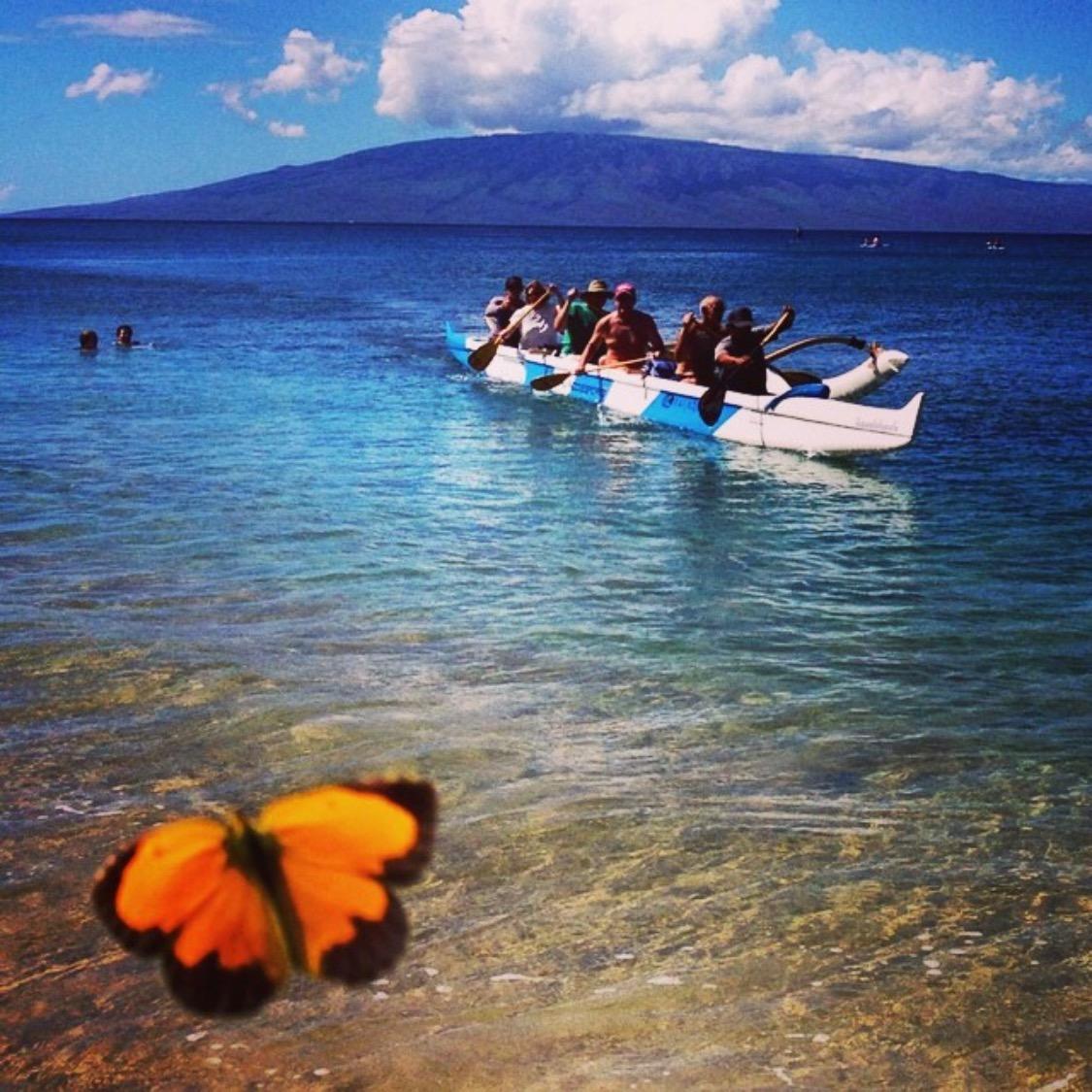 Maui Paddle Sports shows you Hawaii from the local perspective. Go for an outrigger canoe ride and learn some culture and history. We guarantee FUN!