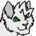 Max (@snowleopardmax) Twitter profile photo Max (@snowleopardmax) Twitter profile photo
