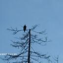 wayne mckenna - @riverrunwayne1 - Twitter