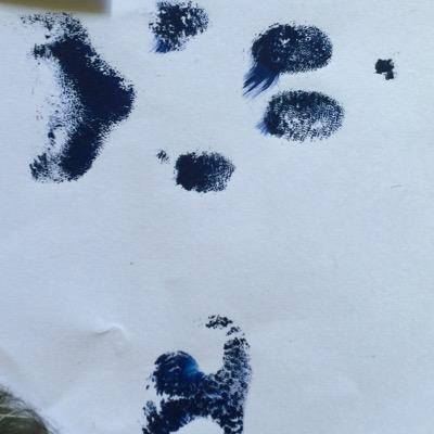 LadyOsaurus's profile picture. 