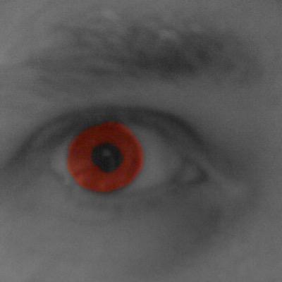 ReviewMonster2's profile picture. 